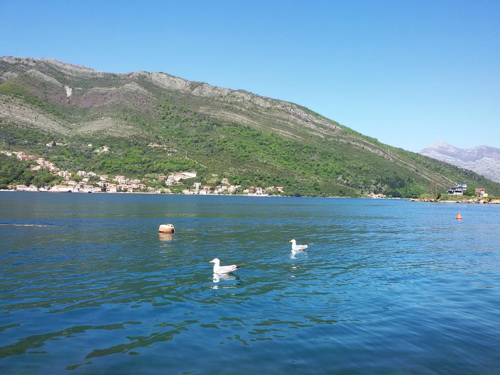 Apartmani Ivana Tivat Exteriör bild
